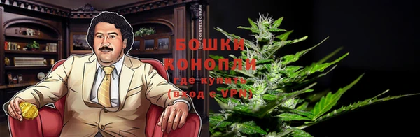 молекула духа Алзамай