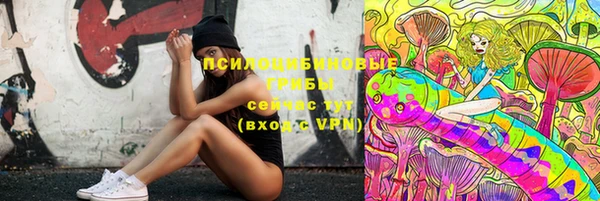 молекула духа Алзамай