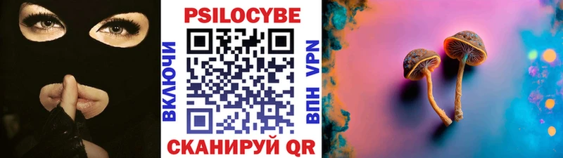 Псилоцибиновые грибы Psilocybe  магазин продажи наркотиков  omg ссылки  Енисейск 